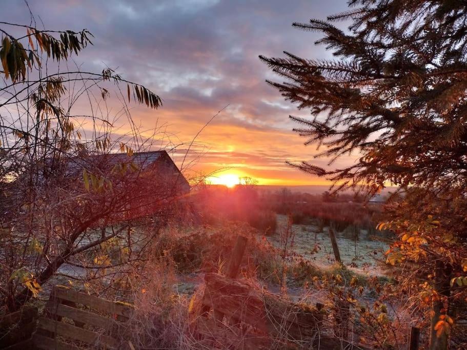 Forest View Cabin Ballaghaderreen Esterno foto