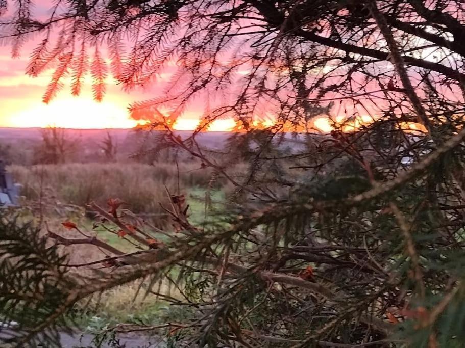 Forest View Cabin Ballaghaderreen Esterno foto