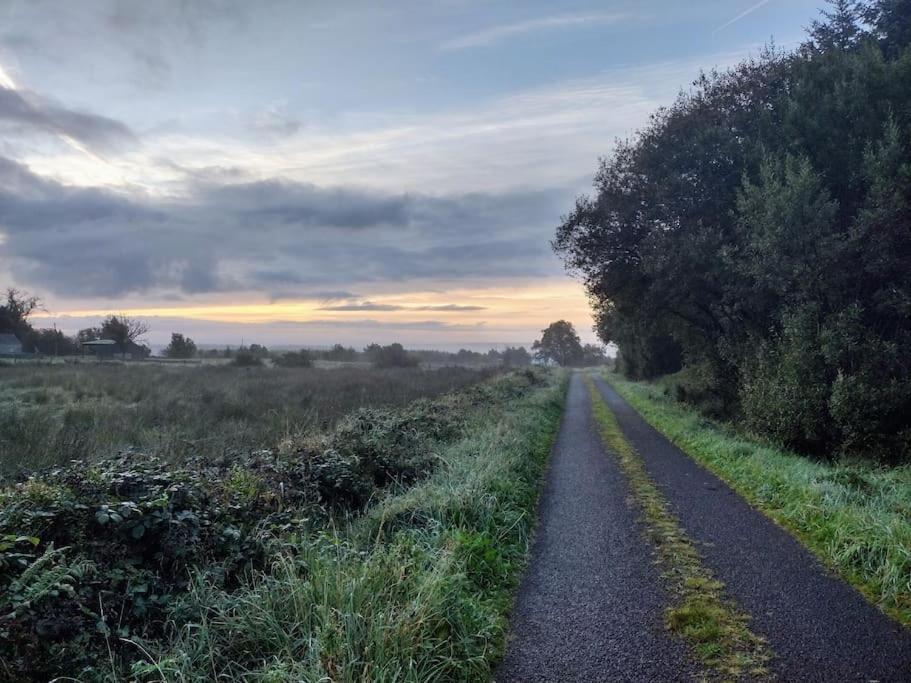 Forest View Cabin Ballaghaderreen Esterno foto
