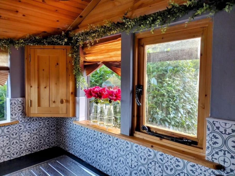Forest View Cabin Ballaghaderreen Esterno foto